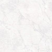 Керамогранит 60x60 8мм карвинг CR6008-A Arctic White серый камень Arcadia Ceramica