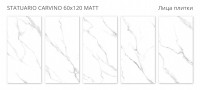 Керамогранит 120x60 8мм Velvet Statuario Carvino Matt матовая Staro