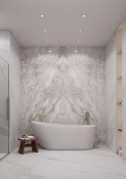 Керамический слэб 280x120 6мм Polished Domino Ash - A Elegance elegance (polished) Staroslabs Керамический слэб 280x120 6мм Polished Domino Ash - A Elegance elegance (polished) Staroslabs