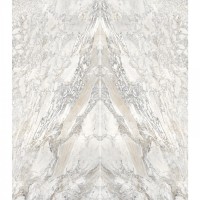 Керамический слэб 280x120 6мм Polished Domino Ash - B Elegance elegance (polished) Staroslabs Керамический слэб 280x120 6мм Polished Domino Ash - B Elegance elegance (polished) Staroslabs