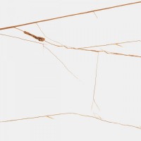 Керамический слэб 240x80 15мм Polished Spider Brown полированная Starotech