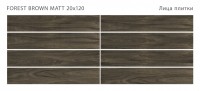 Керамогранит 120x20 9мм Forest Brown Matt матовая Starowood
