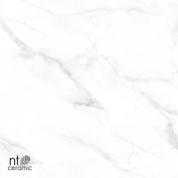 Керамогранит 120x60 9мм NTT99506P Marmo полированный NT Ceramic Керамогранит 120x60 9мм NTT99506P Marmo полированный NT Ceramic