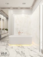 Керамогранит 60x60 9мм NTT995030P Onyx полированный NT Ceramic