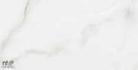 Керамогранит 60x60 9мм NTT995030P Onyx полированный NT Ceramic