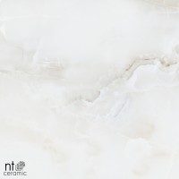 Керамогранит 120x60 9мм NTT99503P Onyx полированный NT Ceramic