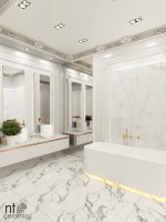 Керамогранит 120x60 9мм NTT99503P Onyx полированный NT Ceramic