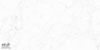 Керамогранит 120x60 9мм NTT99518M Marmo карвинг NT Ceramic Керамогранит 120x60 9мм NTT99518M Marmo карвинг NT Ceramic