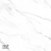 Керамогранит 120x60 9мм NTT99506P Marmo полированный NT Ceramic Керамогранит 120x60 9мм NTT99506P Marmo полированный NT Ceramic