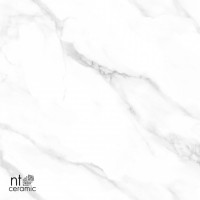 Керамогранит 120x60 9мм NTT99506P Marmo полированный NT Ceramic Керамогранит 120x60 9мм NTT99506P Marmo полированный NT Ceramic