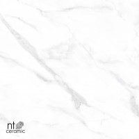 Керамогранит 120x60 9мм NTT99506P Marmo полированный NT Ceramic Керамогранит 120x60 9мм NTT99506P Marmo полированный NT Ceramic