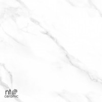 Керамогранит 120x60 9мм NTT99506P Marmo полированный NT Ceramic Керамогранит 120x60 9мм NTT99506P Marmo полированный NT Ceramic