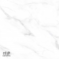 Керамогранит 120x60 9мм NTT99506P Marmo полированный NT Ceramic Керамогранит 120x60 9мм NTT99506P Marmo полированный NT Ceramic
