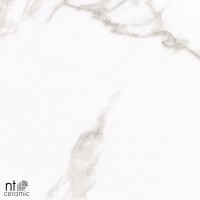Керамогранит 120x60 10.5мм ML612NTT1001P Marvel полированный NT Ceramic Керамогранит 120x60 10.5мм ML612NTT1001P Marvel полированный NT Ceramic
