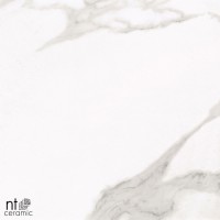 Керамогранит 120x60 10.5мм ML612NTT1001P Marvel полированный NT Ceramic Керамогранит 120x60 10.5мм ML612NTT1001P Marvel полированный NT Ceramic