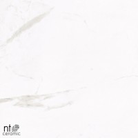 Керамогранит 120x60 10.5мм ML612NTT1001P Marvel полированный NT Ceramic Керамогранит 120x60 10.5мм ML612NTT1001P Marvel полированный NT Ceramic