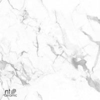 Керамогранит 120x60 9мм NTT99507P Marmo полированный NT Ceramic