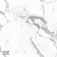 Керамогранит 120x60 9мм NTT99507P Marmo полированный NT Ceramic