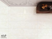 Керамогранит 120x60 9мм NTT99504P Onyx полированный NT Ceramic