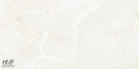 Керамогранит 120x60 9мм NTT99504P Onyx полированный NT Ceramic