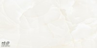 Керамогранит 120x60 9мм NTT99504P Onyx полированный NT Ceramic