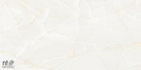 Керамогранит 120x60 9мм NTT99504P Onyx полированный NT Ceramic
