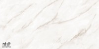 Керамогранит 120x60 9мм NTT99525P Marmo полированный NT Ceramic
