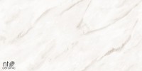 Керамогранит 120x60 9мм NTT99525P Marmo полированный NT Ceramic