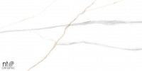 Керамогранит 120x60 9мм NTT99513M Marmo полированный NT Ceramic