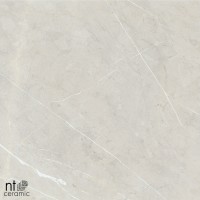 Керамогранит 60x60 9.5мм BB6NTT9101P 60 х 120 полированный NT Ceramic