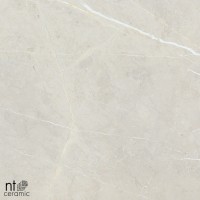 Керамогранит 120x60 10.5мм BB612NTT9101P 60 х 120 полированный NT Ceramic