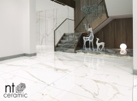 Керамогранит 120x60 9мм NTT99500P Marmo полированный NT Ceramic Керамогранит 120x60 9мм NTT99500P Marmo полированный NT Ceramic