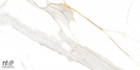 Керамогранит 120x60 9мм NTT99500P Marmo полированный NT Ceramic Керамогранит 120x60 9мм NTT99500P Marmo полированный NT Ceramic