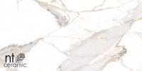 Керамогранит 120x60 NTT9120M Bright and Shiny матовый NT Ceramic Керамогранит 120x60 NTT9120M Bright and Shiny матовый NT Ceramic