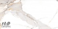Керамогранит 120x60 NTT9120M Bright and Shiny матовый NT Ceramic Керамогранит 120x60 NTT9120M Bright and Shiny матовый NT Ceramic