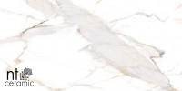 Керамогранит 120x60 NTT9120M Bright and Shiny матовый NT Ceramic Керамогранит 120x60 NTT9120M Bright and Shiny матовый NT Ceramic