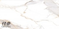 Керамогранит 120x60 NTT9120M Bright and Shiny матовый NT Ceramic Керамогранит 120x60 NTT9120M Bright and Shiny матовый NT Ceramic