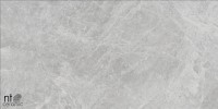 Керамогранит 120x60 NTT9118M Bright and Shiny матовый NT Ceramic
