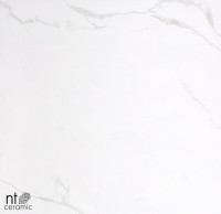 Керамогранит 120x60 11мм BK126NTT9402P Marmori полированный NT Ceramic