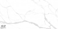 Керамогранит 120x60 9мм NTT99512M Marmo полированный NT Ceramic Керамогранит 120x60 9мм NTT99512M Marmo полированный NT Ceramic