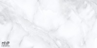 Керамогранит 120x60 9мм NT99524C Onyx карвинг NT Ceramic