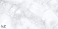 Керамогранит 120x60 9мм NT99524C Onyx карвинг NT Ceramic