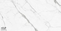 Керамогранит 60x60 9.5мм BB6NTT9100P Bright and Shiny полированный NT Ceramic