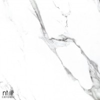 Керамогранит 60x60 9.5мм BB6NTT9100P Bright and Shiny полированный NT Ceramic