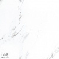 Керамогранит 60x60 9.5мм BB6NTT9100P Bright and Shiny полированный NT Ceramic