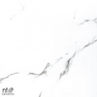 Керамогранит 60x60 9.5мм BB6NTT9100P Bright and Shiny полированный NT Ceramic