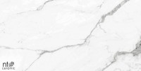 Керамогранит 60x60 9.5мм BB6NTT9100P Bright and Shiny полированный NT Ceramic