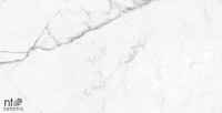 Керамогранит 120x60 10.5мм BB612NTT9100P Bright and Shiny полированный NT Ceramic Керамогранит 120x60 10.5мм BB612NTT9100P Bright and Shiny полированный NT Ceramic