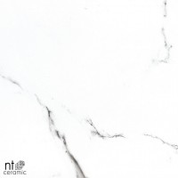 Керамогранит 120x60 10.5мм BB612NTT9100P Bright and Shiny полированный NT Ceramic Керамогранит 120x60 10.5мм BB612NTT9100P Bright and Shiny полированный NT Ceramic