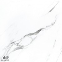 Керамогранит 120x60 10.5мм BB612NTT9100P Bright and Shiny полированный NT Ceramic Керамогранит 120x60 10.5мм BB612NTT9100P Bright and Shiny полированный NT Ceramic